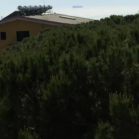 Pine apartments Appartement