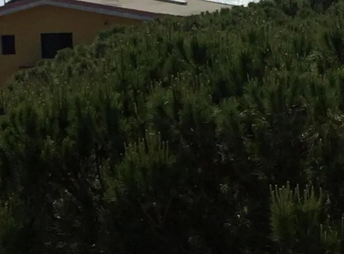 Pine apartments Appartement