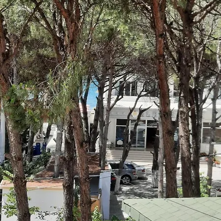 Holiday Apartments Daire *